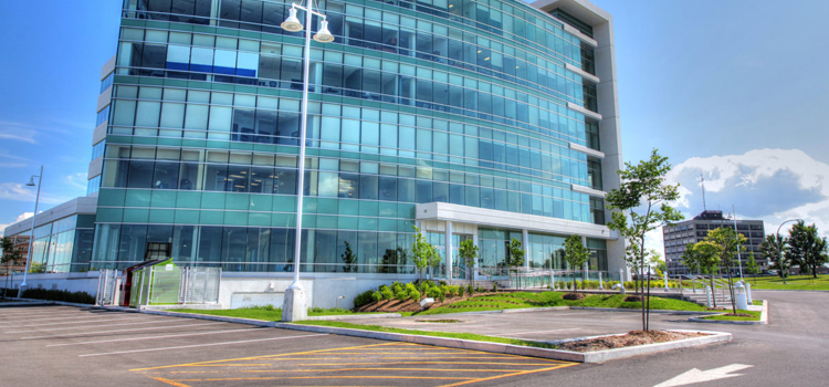 commercial glass door repair Paradise