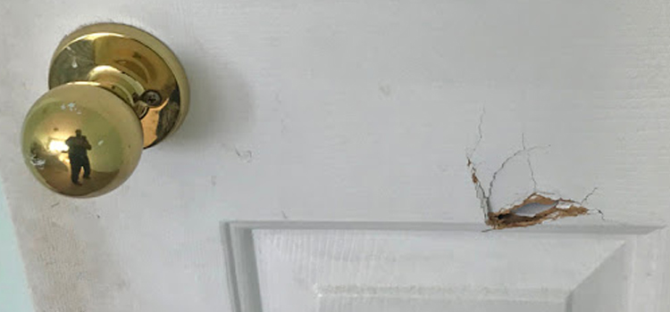 interior door hole repair Paradise