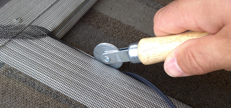 metal screen door repair in Paradise