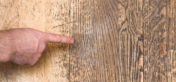 Wood Door Scratch Repair in Paradise